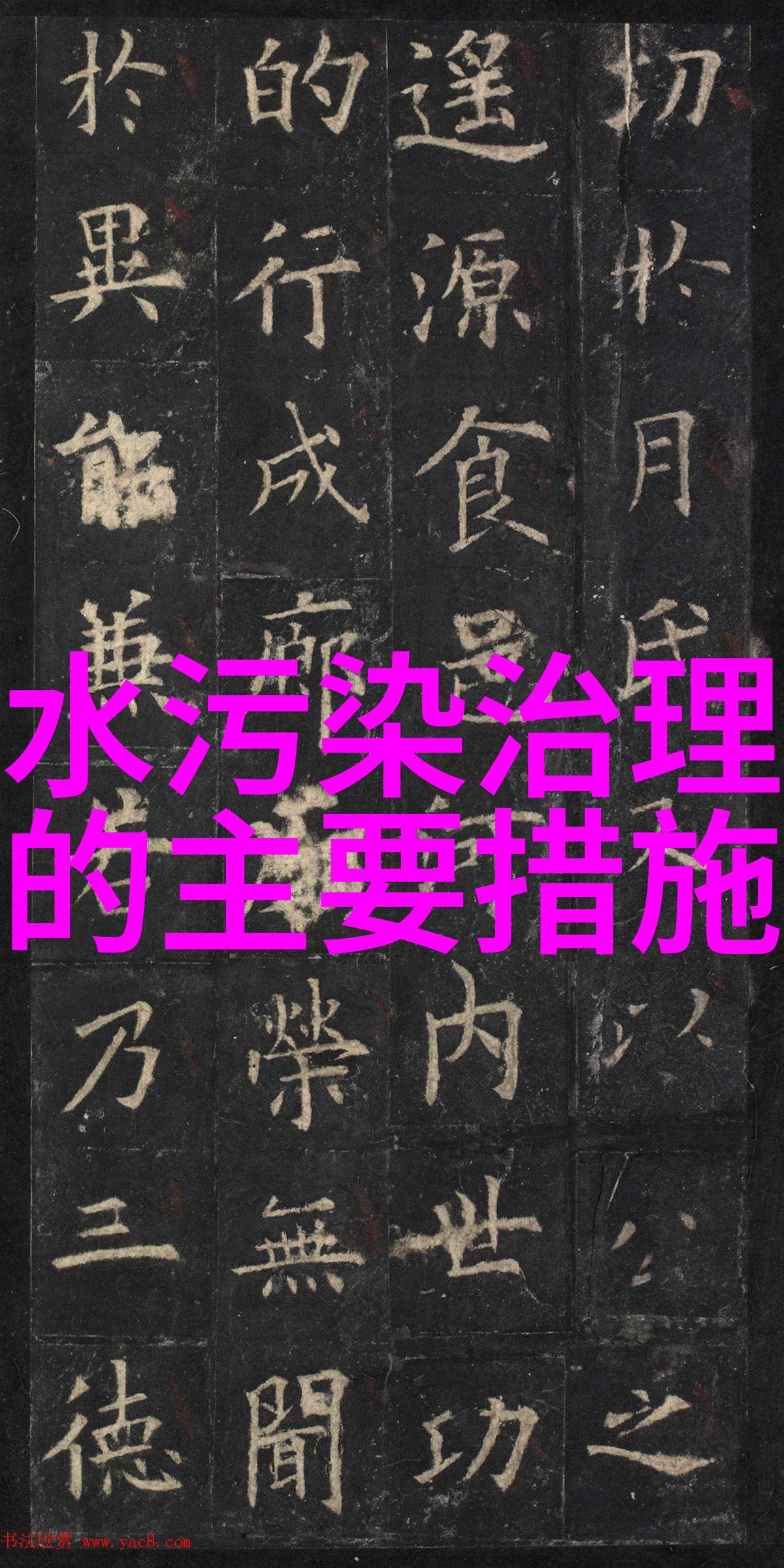 光伏盛宴倒计时12th bifi PV Workshop 2024 Zhuhai亮点抢先看