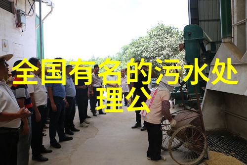 BC技术已成为公认的发展方向反响热烈